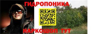 сатива Можга