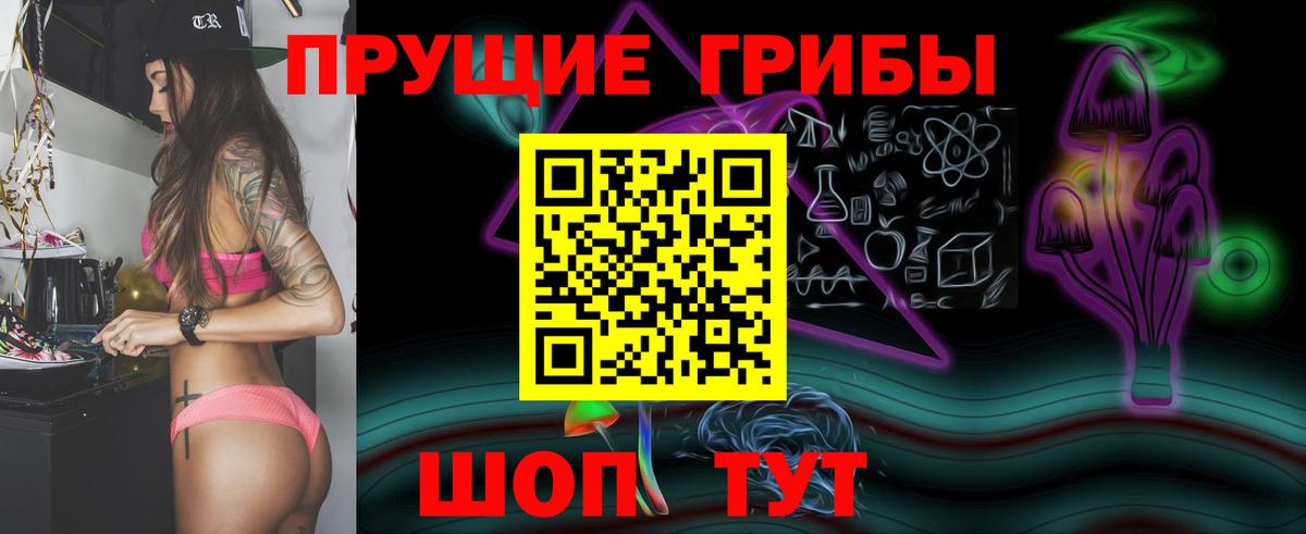 Дивногорск  Псилоцибиновые грибы мицелий  Вход с VPN 